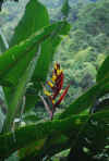 Colombia 2009 006.jpg (2118592 byte)