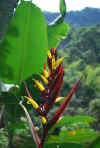 Colombia 2009 009.jpg (1941653 byte)