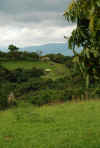 Colombia 2009 026.jpg (2466446 byte)