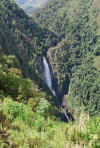 Colombia 2009 056.jpg (2634821 byte)