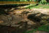 Colombia 2009 077.jpg (2670822 byte)