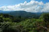 Colombia 2009 079.jpg (2752539 byte)