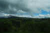 Colombia 2009 104.jpg (1669851 byte)
