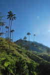 Colombia 2009 152.jpg (2368627 byte)