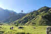 Colombia 2009 158.jpg (2768702 byte)