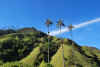 Colombia 2009 159.jpg (2635759 byte)