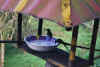 Colombia 2009 182.jpg (2020475 byte)