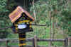 Colombia 2009 183.jpg (2518138 byte)