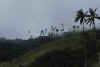 Colombia 2009 208.jpg (2344800 byte)