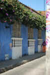 Colombia 2009 285.jpg (4456789 byte)