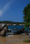 Colombia 2009 351.jpg (2159696 byte)