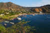 Colombia 2009 361.jpg (2703343 byte)
