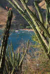 Colombia 2009 370.jpg (2583296 byte)