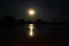 Colombia 2009 397.jpg (1591344 byte)