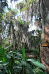 Colombia 2009 510.jpg (5060823 byte)