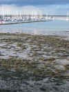 Malahide Marina.jpg (637386 byte)