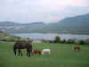 DSCN8154.JPG (734225 byte)