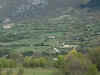 b 071.jpg (84133 byte)