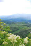 Incontro_viaggiatori_Liberi_Cervarezza_(Re)_18-19-20_maggio_2012_069.jpg (1771014 byte)