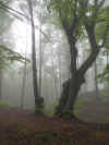 foto3.JPG (3449663 byte)
