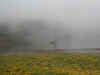 foto.JPG (3963968 byte)