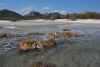 Sardegna, 2-5 ottobre 2009 035.jpg (2572108 byte)