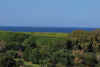 Sardegna, 2-5 ottobre 2009 038.jpg (2629387 byte)