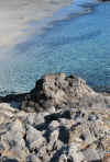 Sardegna, 2-5 ottobre 2009 053.jpg (2532821 byte)
