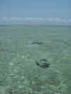 Bazaruto mare verde.JPG (1631330 byte)