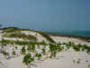 Benguerra praia branca.JPG (1638527 byte)