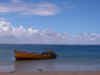 DSCN0011.JPG (1681483 byte)