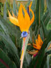 DSCN0086.JPG (1057591 byte)