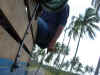 DSCN9006.JPG (1584948 byte)