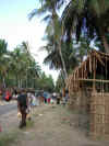 DSCN9101.JPG (1504426 byte)