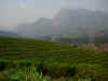DSCN9225.JPG (1688729 byte)