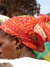 DSCN9312.JPG (1527980 byte)