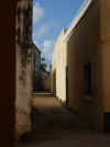 DSCN9426.JPG (1617362 byte)
