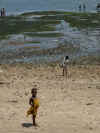 DSCN9492.JPG (1512521 byte)