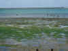 DSCN9498.JPG (1563334 byte)