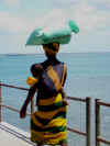 DSCN9509.JPG (294728 byte)
