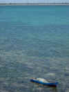 DSCN9510.JPG (1490274 byte)