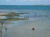 DSCN9511.JPG (1710711 byte)