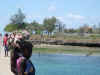 DSCN9518.JPG (1783663 byte)