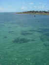 DSCN9519.JPG (1573020 byte)