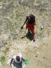 DSCN9522.JPG (1498451 byte)