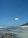DSCN9579.JPG (1644405 byte)