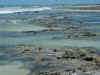 DSCN9580.JPG (1598973 byte)