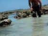 DSCN9583.JPG (1650178 byte)