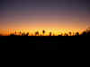 DSCN9633.JPG (1724886 byte)