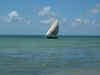 DSCN9722.JPG (1738409 byte)